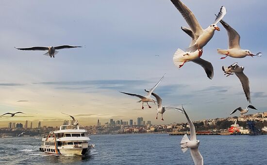  Günübirlik İstanbul Tarihi Yarımada Turu