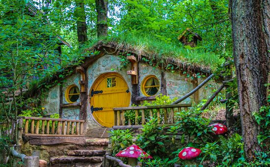 Günübirlik Sapanca Ormanya Maşukiye Turu