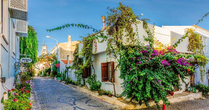  Günübirlik Bozcaada Turu