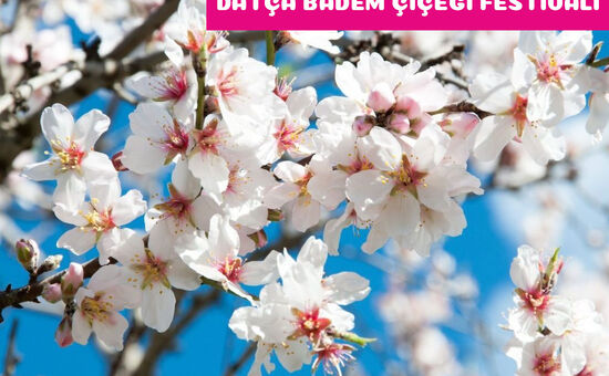 Datça Badem Çiçeği Festivali Turu