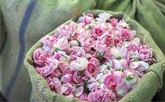 Isparta Gül Festivali  Turu