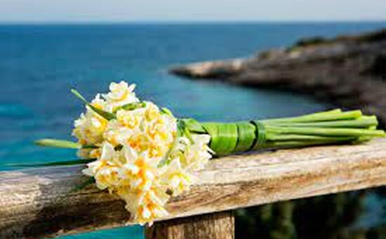 Karaburun Nergis Festivali Turu