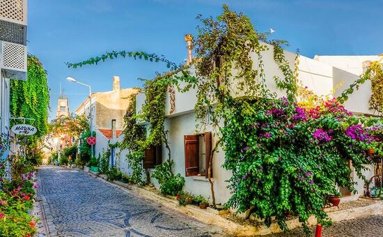  Günübirlik Bozcaada Turu