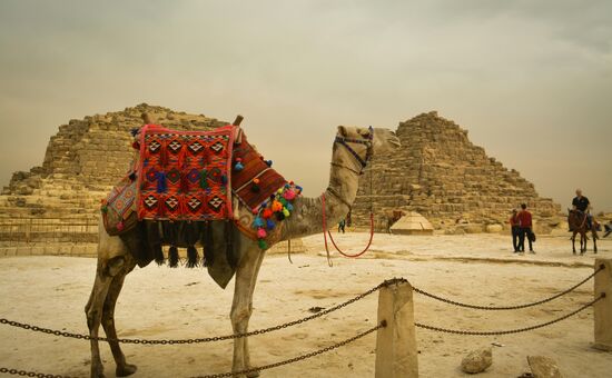 Promosyon Sharm El Sheikh Turu Ajet ile 5 Gece Transfer Saatine Kadar Otel Kullanımlı