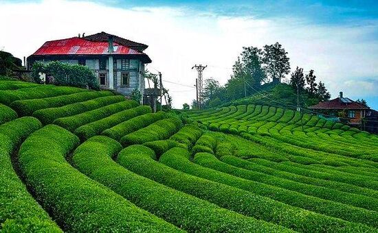 Doğu Karadeniz&Batum Turu 4 Gece 5 Gün