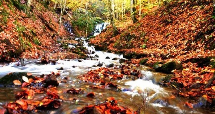 Yılbaşı Özel 1 Gece Konaklamalı Doğa Turu 